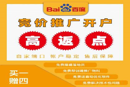 案例分析：打造高效竞价推广策略